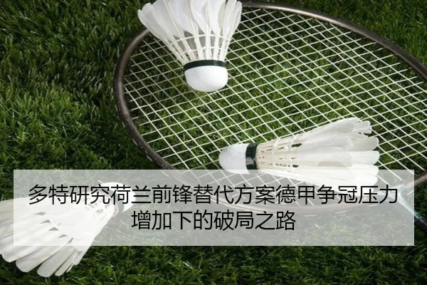 多特研究荷兰前锋替代方案德甲争冠压力增加下的破局之路 | kaiyun